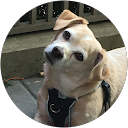 Sam Cran profile picture