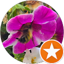 shakeb usmani profile picture